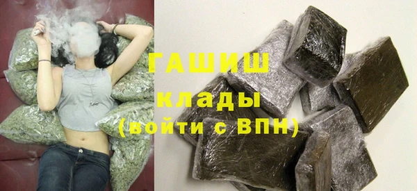 шишки Алзамай