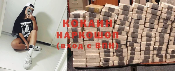 шишки Алзамай