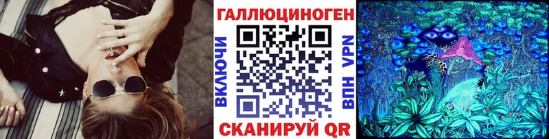блэк спрут как войти  Новозыбков  Псилоцибиновые грибы MAGIC MUSHROOMS 